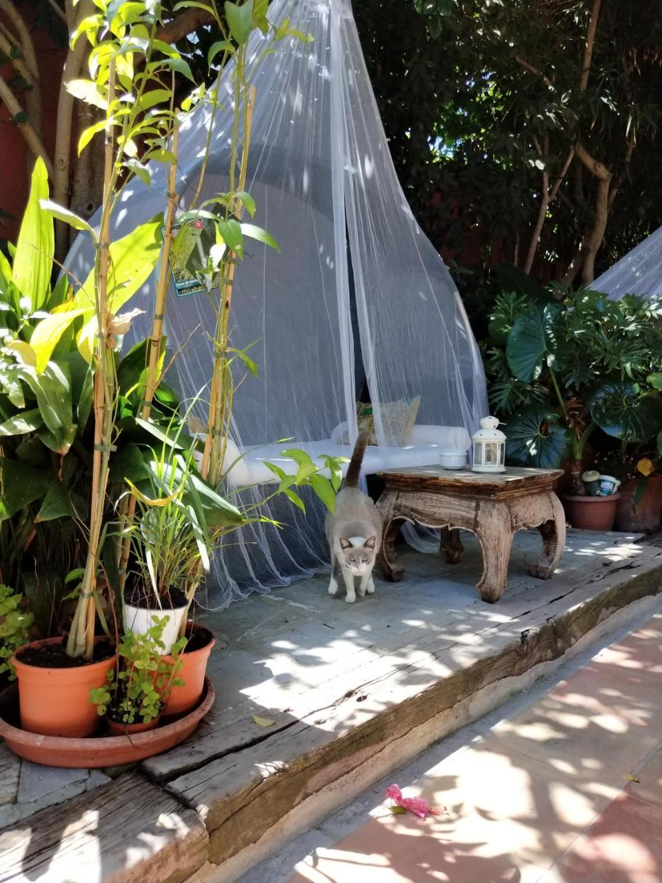 Отель La Posada De Lola - Adults Only Болония Экстерьер фото